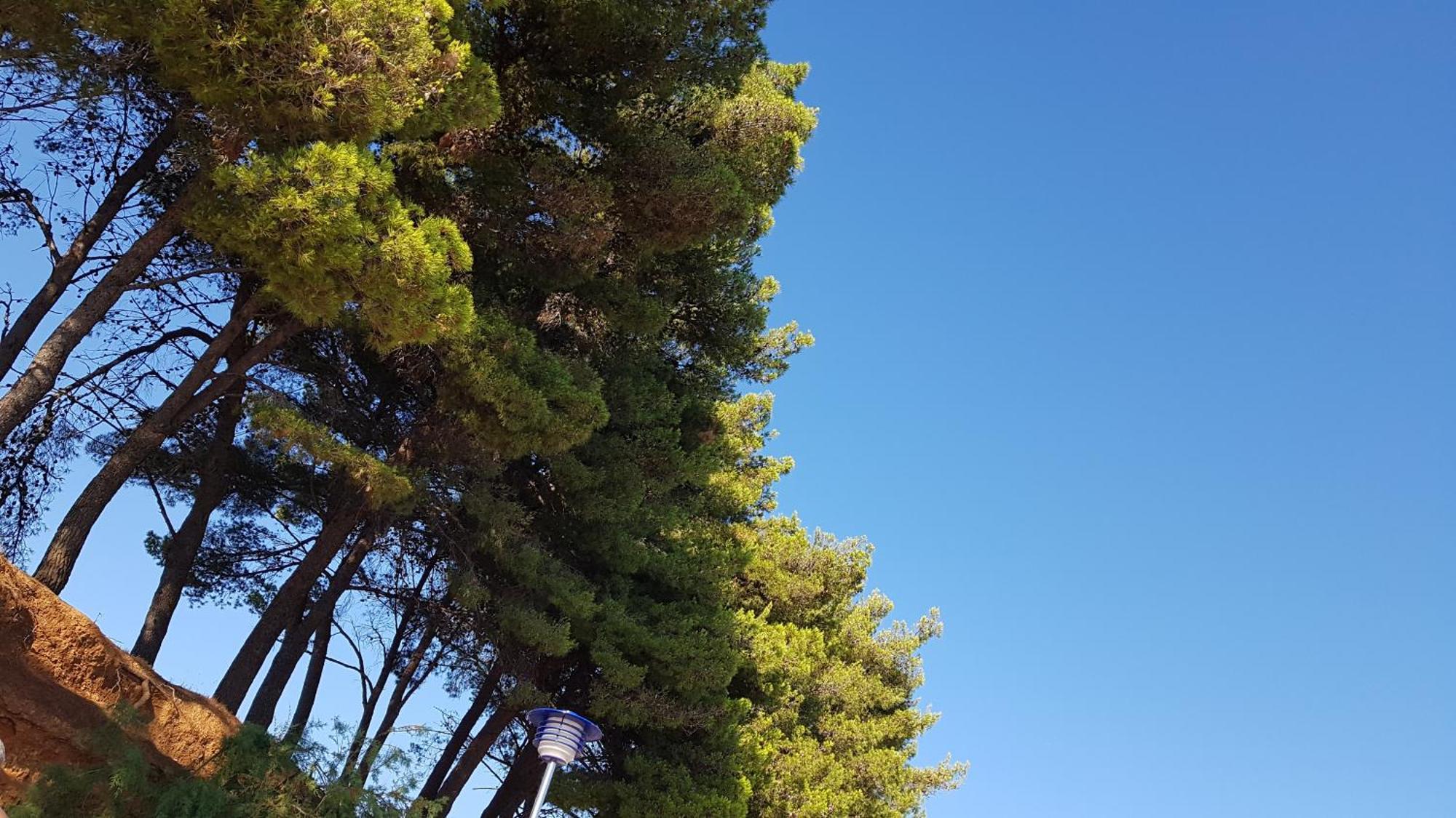 Apartmani Maver Sveti Filip i Jakov Esterno foto